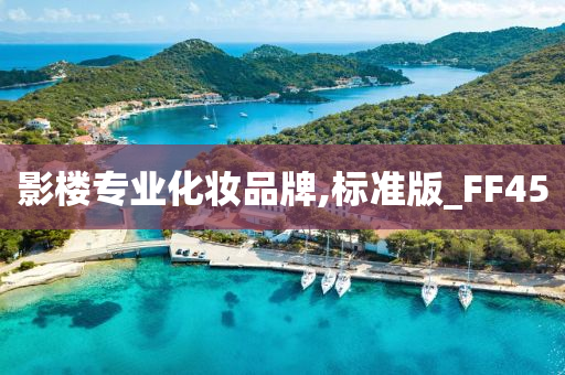 影楼专业化妆品牌,标准版_FF45