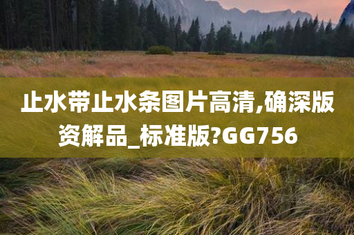 止水带止水条图片高清,确深版资解品_标准版?GG756