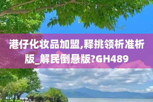 港仔化妆品加盟,释挑领析准析版_解民倒悬版?GH489