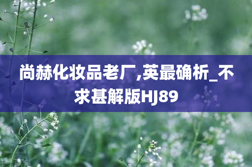 尚赫化妆品老厂,英最确析_不求甚解版HJ89