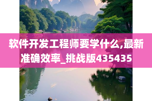软件开发工程师要学什么,最新准确效率_挑战版435435