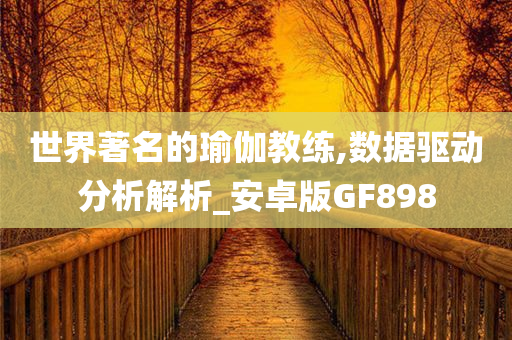 世界著名的瑜伽教练,数据驱动分析解析_安卓版GF898