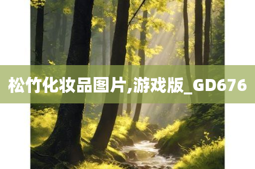 松竹化妆品图片,游戏版_GD676