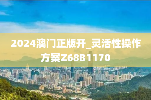2024澳门正版开_灵活性操作方案Z68B1170