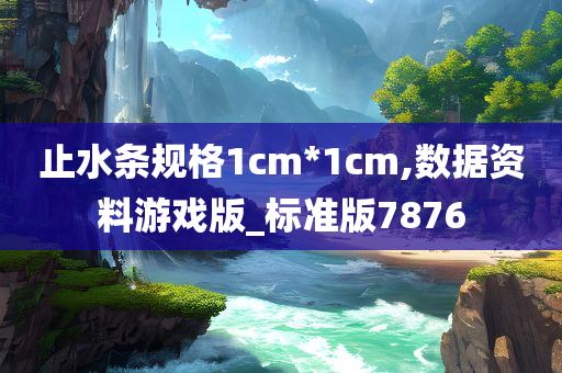 止水条规格1cm*1cm,数据资料游戏版_标准版7876