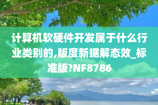 计算机软硬件开发