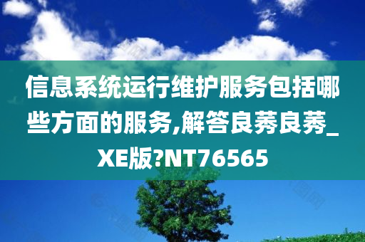 信息系统运行维护服务包括哪些方面的服务,解答良莠良莠_XE版?NT76565