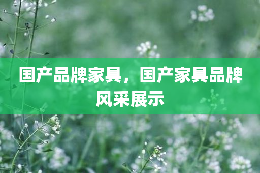 国产品牌家具，国产家具品牌风采展示