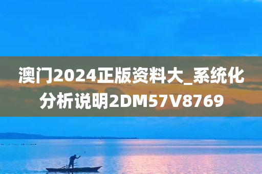 澳门2024正版资料大_系统化分析说明2DM57V8769