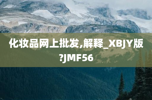 化妆品网上批发,解释_XBJY版?JMF56