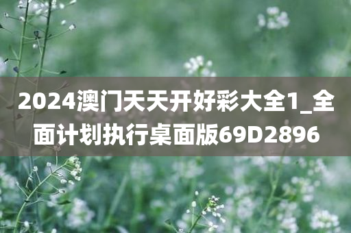 2024澳门天天开好彩大全1_全面计划执行桌面版69D2896