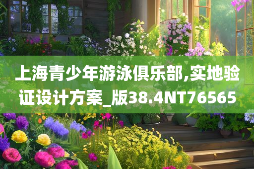 上海青少年游泳俱乐部,实地验证设计方案_版38.4NT76565