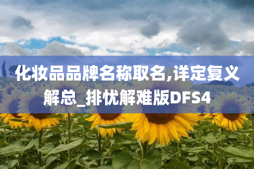 化妆品品牌名称取名,详定复义解总_排忧解难版DFS4