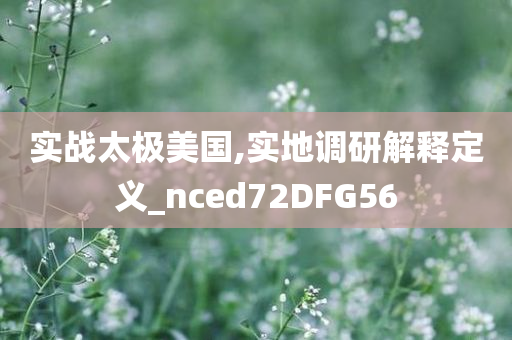 实战太极美国,实地调研解释定义_nced72DFG56