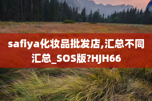 safiya化妆品批发店,汇总不同汇总_SOS版?HJH66