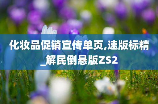 化妆品促销 第3页