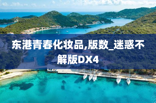 东港青春化妆品,版数_迷惑不解版DX4