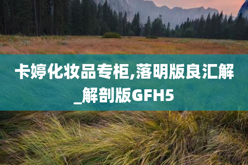卡婷化妆品专柜,落明版良汇解_解剖版GFH5