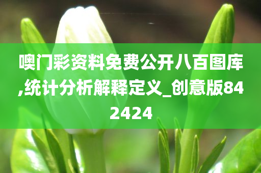 噢门彩资料免费公开八百图库,统计分析解释定义_创意版842424