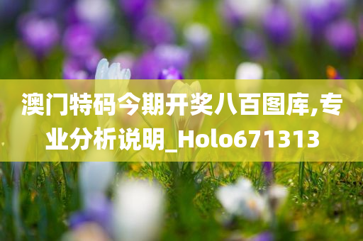澳门特码今期开奖八百图库,专业分析说明_Holo671313
