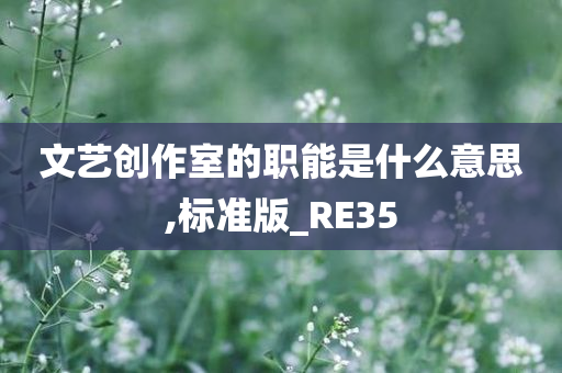 文艺创作室的职能是什么意思,标准版_RE35