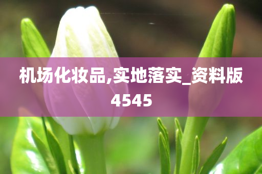 机场化妆品,实地落实_资料版4545
