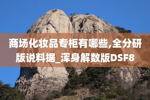 商场化妆品专柜有哪些,全分研版说料据_浑身解数版DSF8