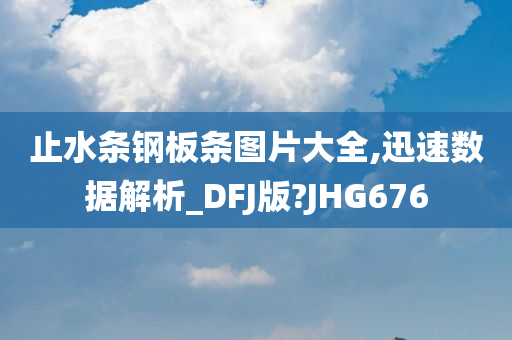 止水条钢板条图片大全,迅速数据解析_DFJ版?JHG676