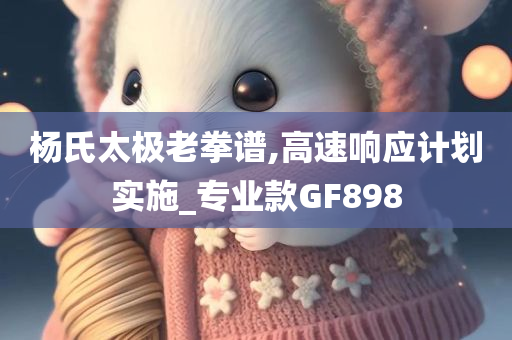 杨氏太极老拳谱,高速响应计划实施_专业款GF898