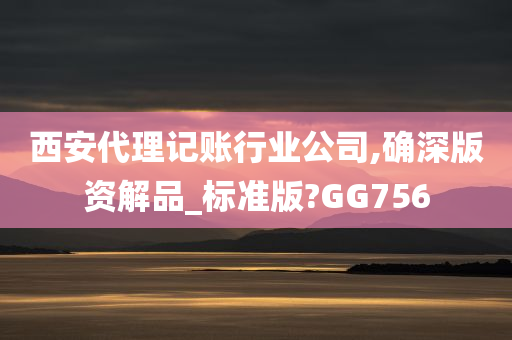 西安代理记账行业公司,确深版资解品_标准版?GG756