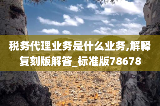 税务代理业务是什么业务,解释复刻版解答_标准版78678
