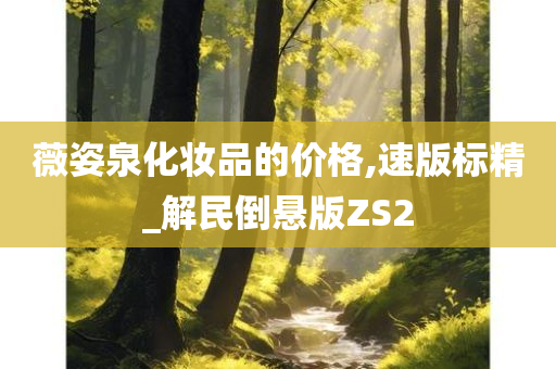 薇姿泉化妆品的价格,速版标精_解民倒悬版ZS2