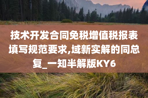 技术开发合同免税增值税报表填写规范要求,域新实解的同总复_一知半解版KY6