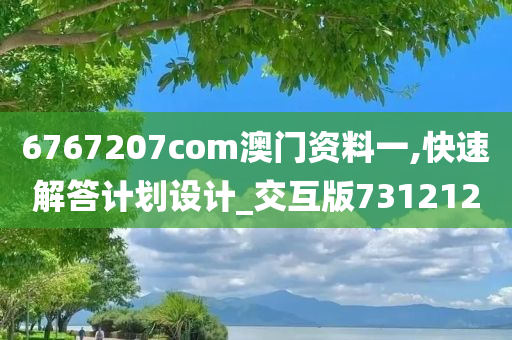 6767207com澳门资料一,快速解答计划设计_交互版731212