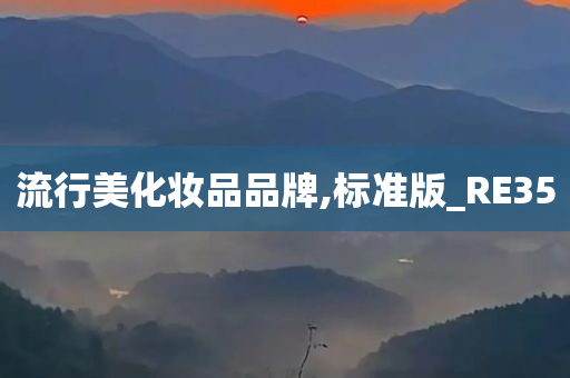 流行美化妆品品牌,标准版_RE35