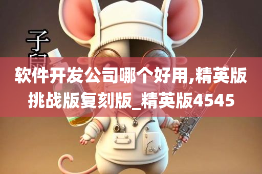 精英版 第18页