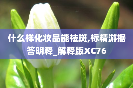 什么样化妆品能祛斑,标精游据答明释_解释版XC76
