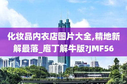 化妆品内衣店图片大全,精地新解最落_庖丁解牛版?JMF56