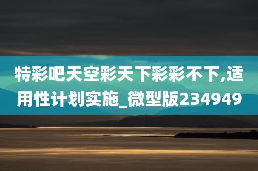 特彩吧天空彩天下彩彩不下,适用性计划实施_微型版234949