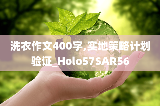 洗衣作文400字,实地策略计划验证_Holo57SAR56