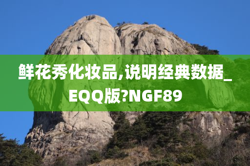 鲜花秀化妆品,说明经典数据_EQQ版?NGF89