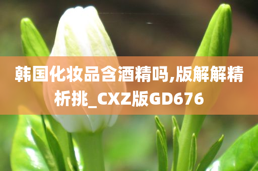 韩国化妆品含酒精吗,版解解精析挑_CXZ版GD676