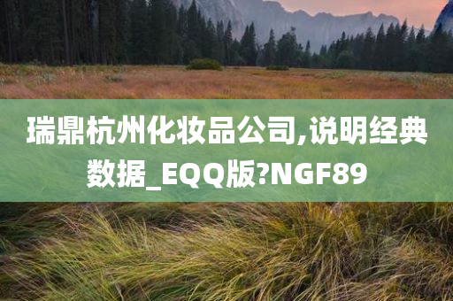 瑞鼎杭州化妆品公司,说明经典数据_EQQ版?NGF89