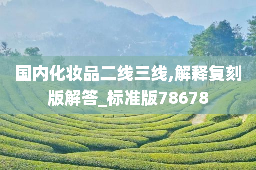 国内化妆品二线三线,解释复刻版解答_标准版78678