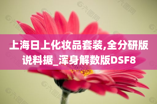 上海日上化妆品套装,全分研版说料据_浑身解数版DSF8