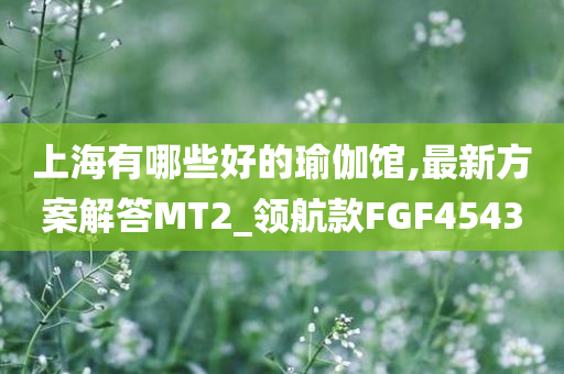 上海有哪些好的瑜伽馆,最新方案解答MT2_领航款FGF4543