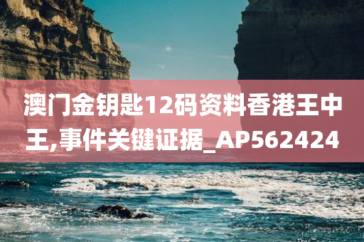 澳门金钥匙12码资料香港王中王,事件关键证据_AP562424