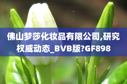 佛山梦莎化妆品有限公司,研究权威动态_BVB版?GF898