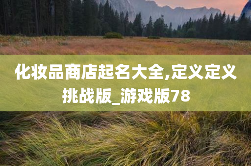化妆品商店起名大全,定义定义挑战版_游戏版78