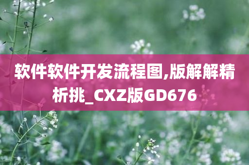软件软件开发今晚必出三肖2025_2025新澳门精准免费提供·精确判断流程图,版解解精析挑_CXZ版GD676